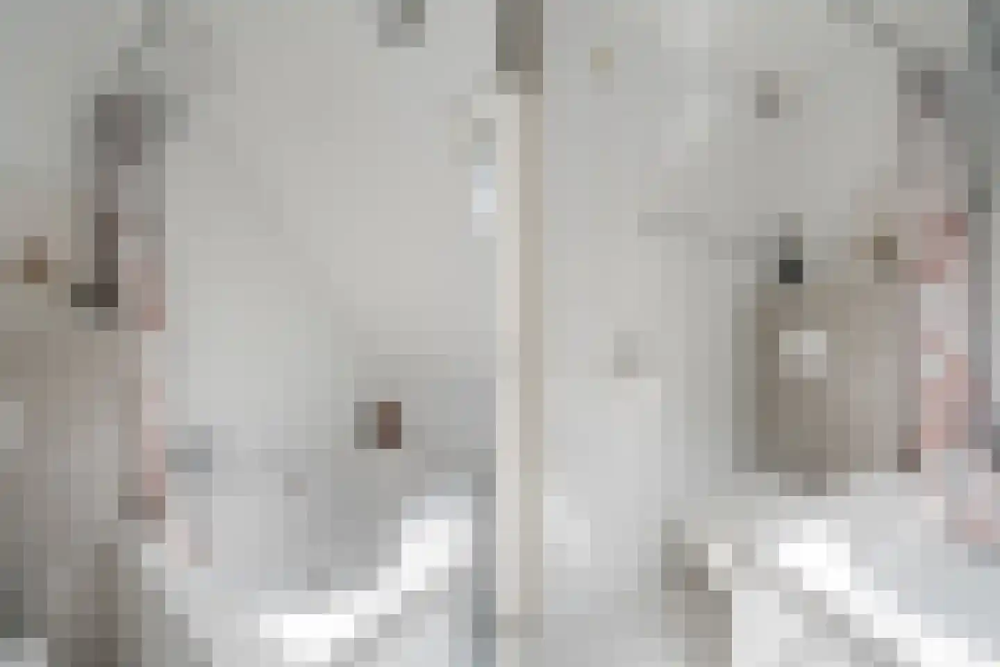 Weth. Berbeelaan 8 Anna Paulowna thumbnail 25