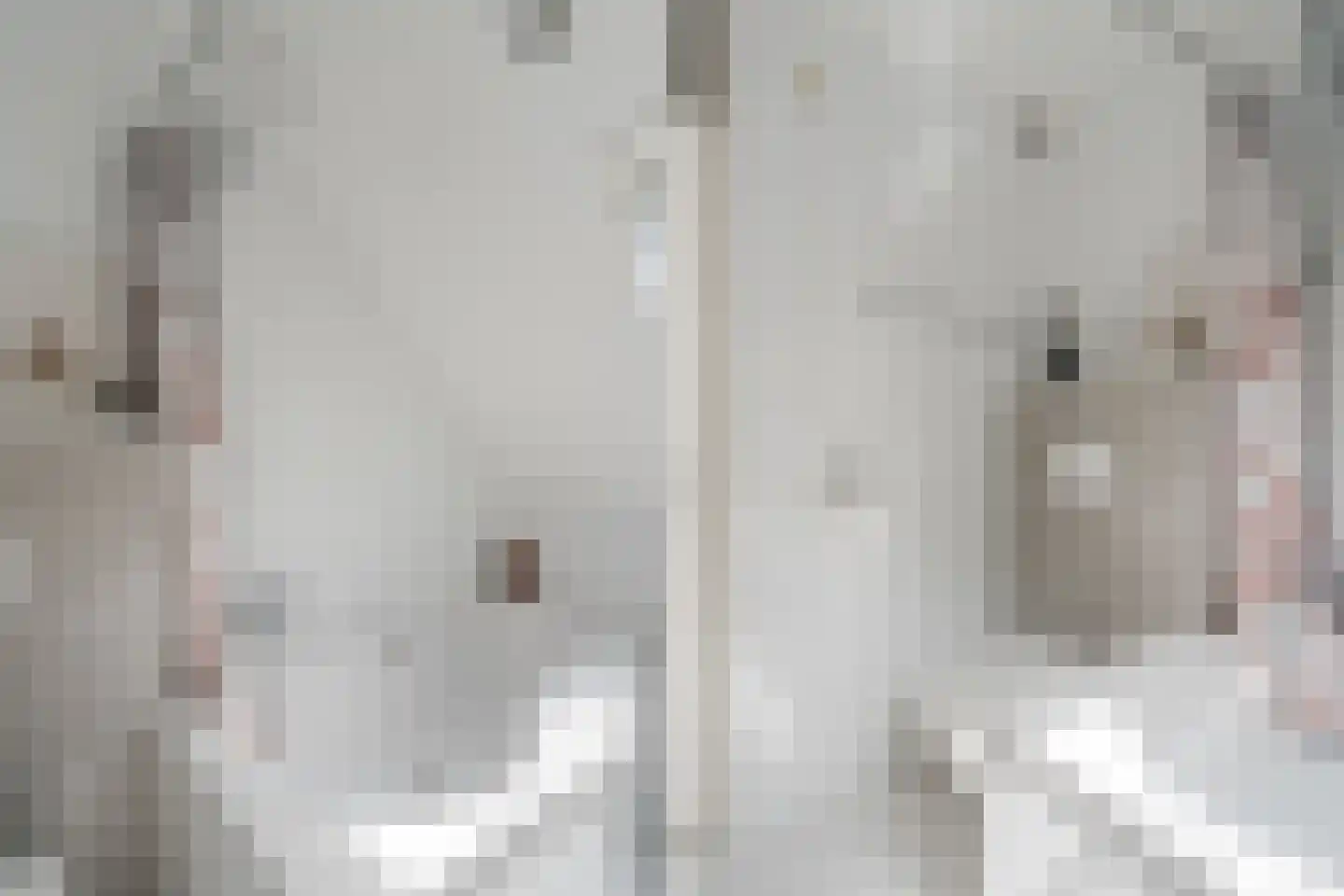 Weth. Berbeelaan 8 Anna Paulowna thumbnail 25