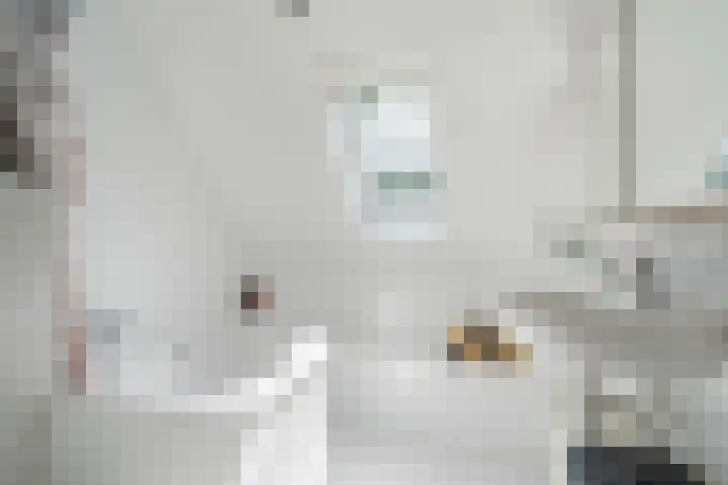 Weth. Berbeelaan 8 Anna Paulowna thumbnail 26
