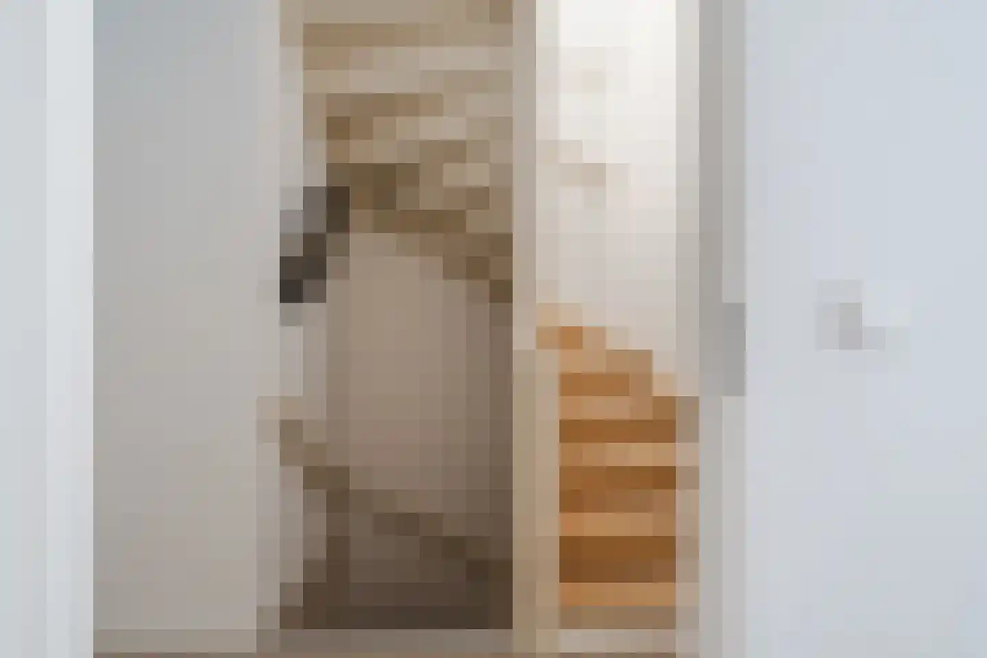 Weth. Berbeelaan 8 Anna Paulowna thumbnail 28