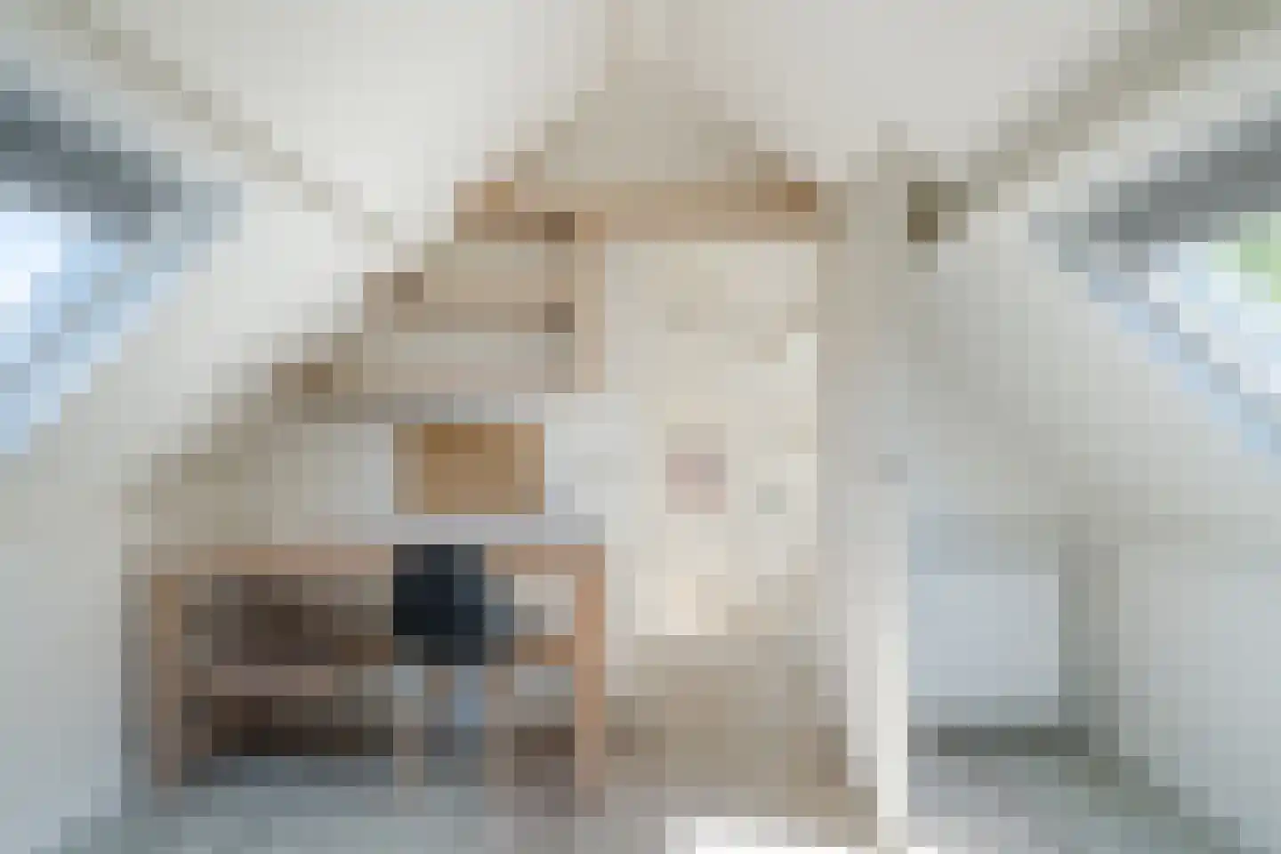 Weth. Berbeelaan 8 Anna Paulowna thumbnail 31