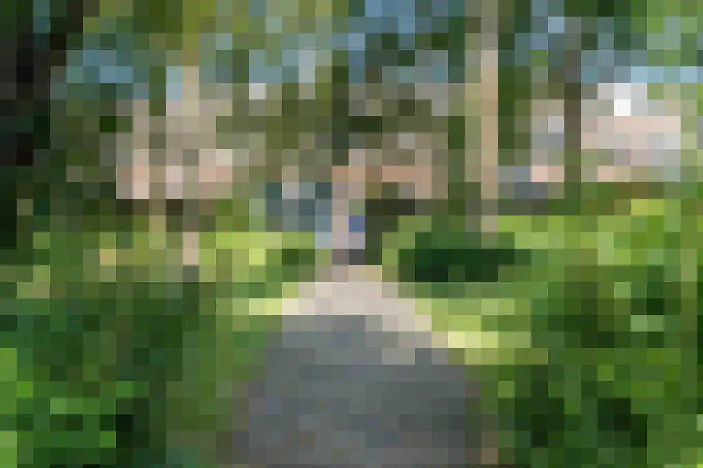 Weth. Berbeelaan 8 Anna Paulowna thumbnail 39