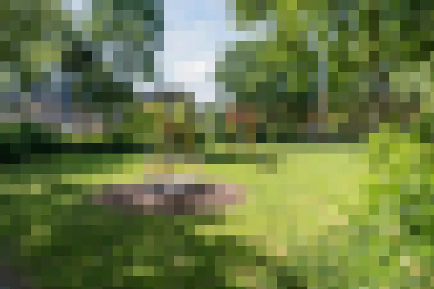 Weth. Berbeelaan 8 Anna Paulowna thumbnail 40
