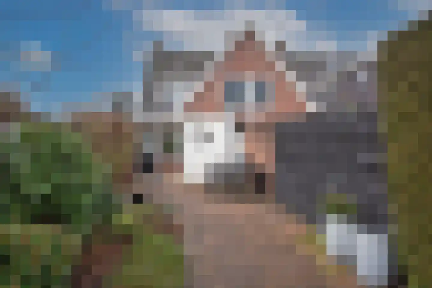Weth Bloemenstraat 35 Delden thumbnail 26