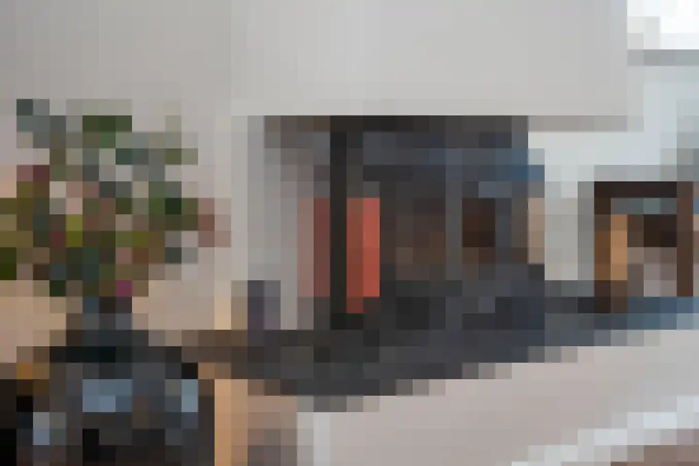 Weth Bloemenstraat 35 Delden thumbnail 7