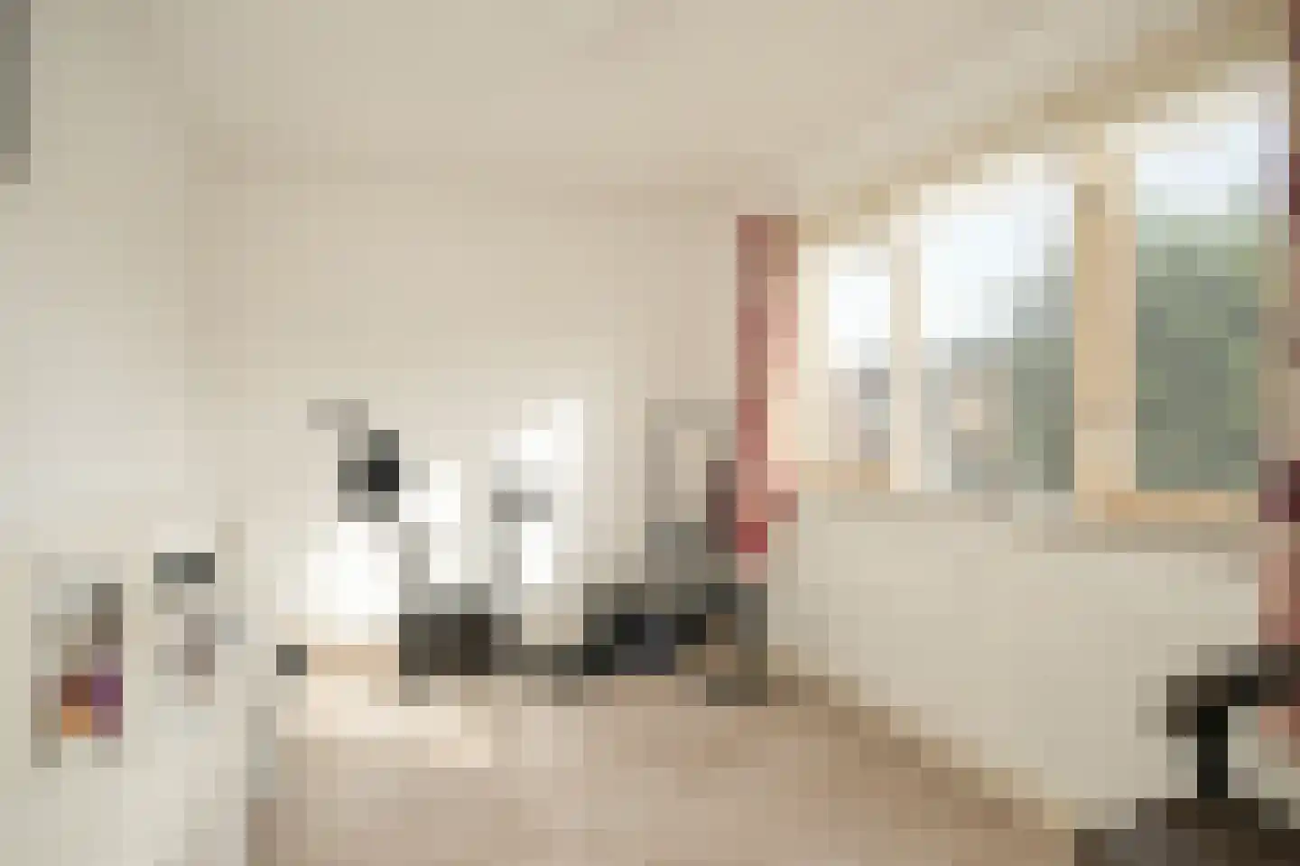 Weth C.E.Th. Vernooijstraat 7 Cothen thumbnail 12