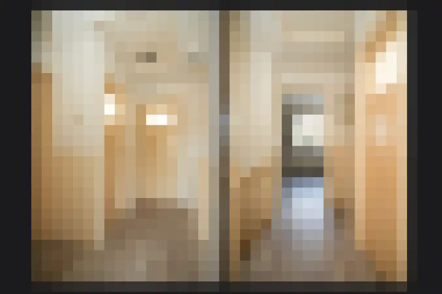 Weth C.E.Th. Vernooijstraat 7 Cothen thumbnail 14