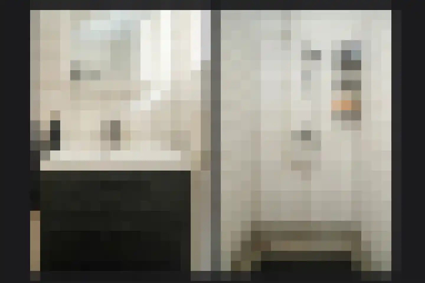 Weth C.E.Th. Vernooijstraat 7 Cothen thumbnail 15
