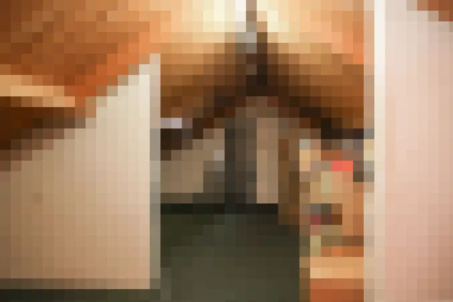 Weth C.E.Th. Vernooijstraat 7 Cothen thumbnail 16