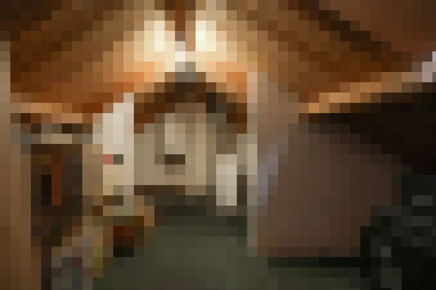 Weth C.E.Th. Vernooijstraat 7 Cothen thumbnail 17