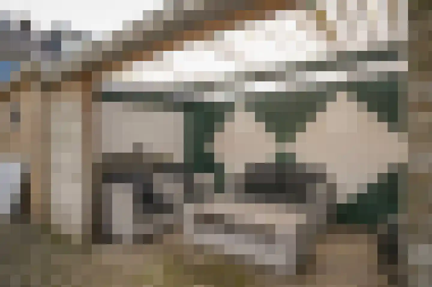 Weth C.E.Th. Vernooijstraat 7 Cothen thumbnail 21