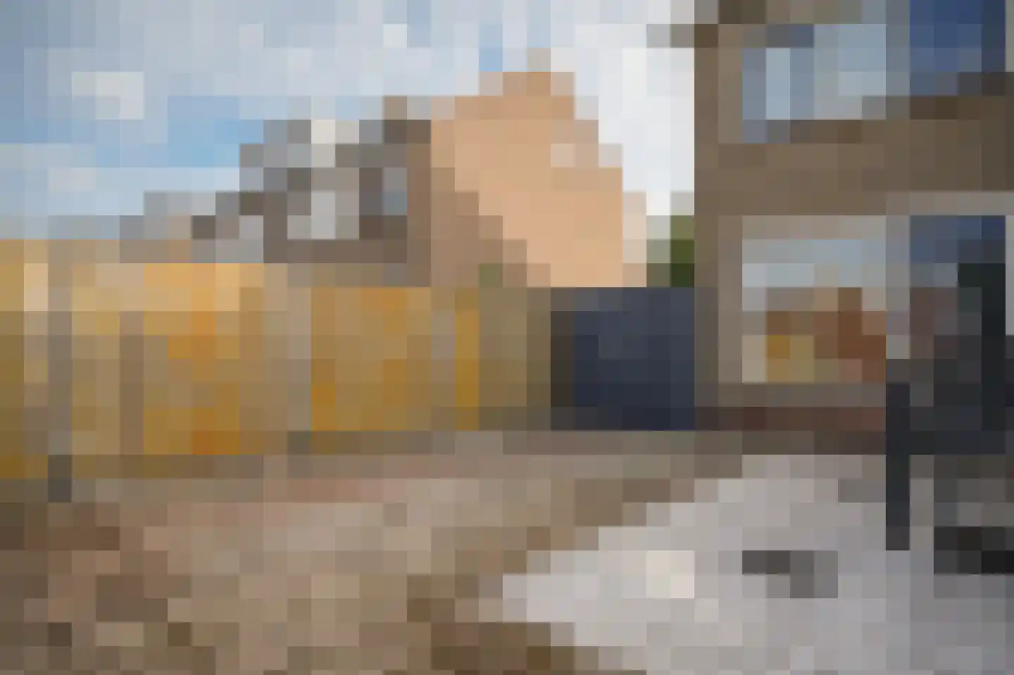 Weth C.E.Th. Vernooijstraat 7 Cothen thumbnail 22