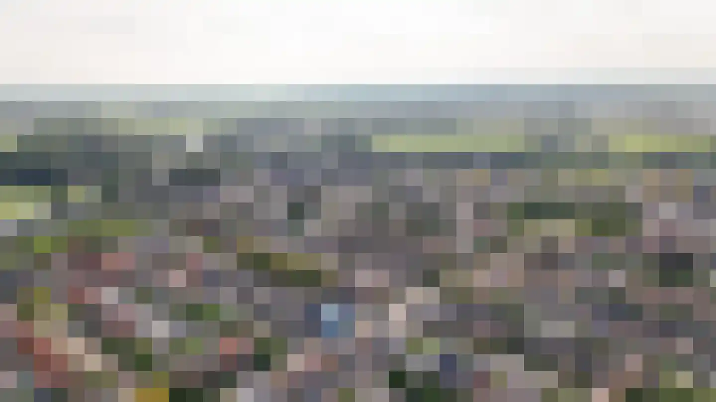 Weth C.E.Th. Vernooijstraat 7 Cothen thumbnail 31