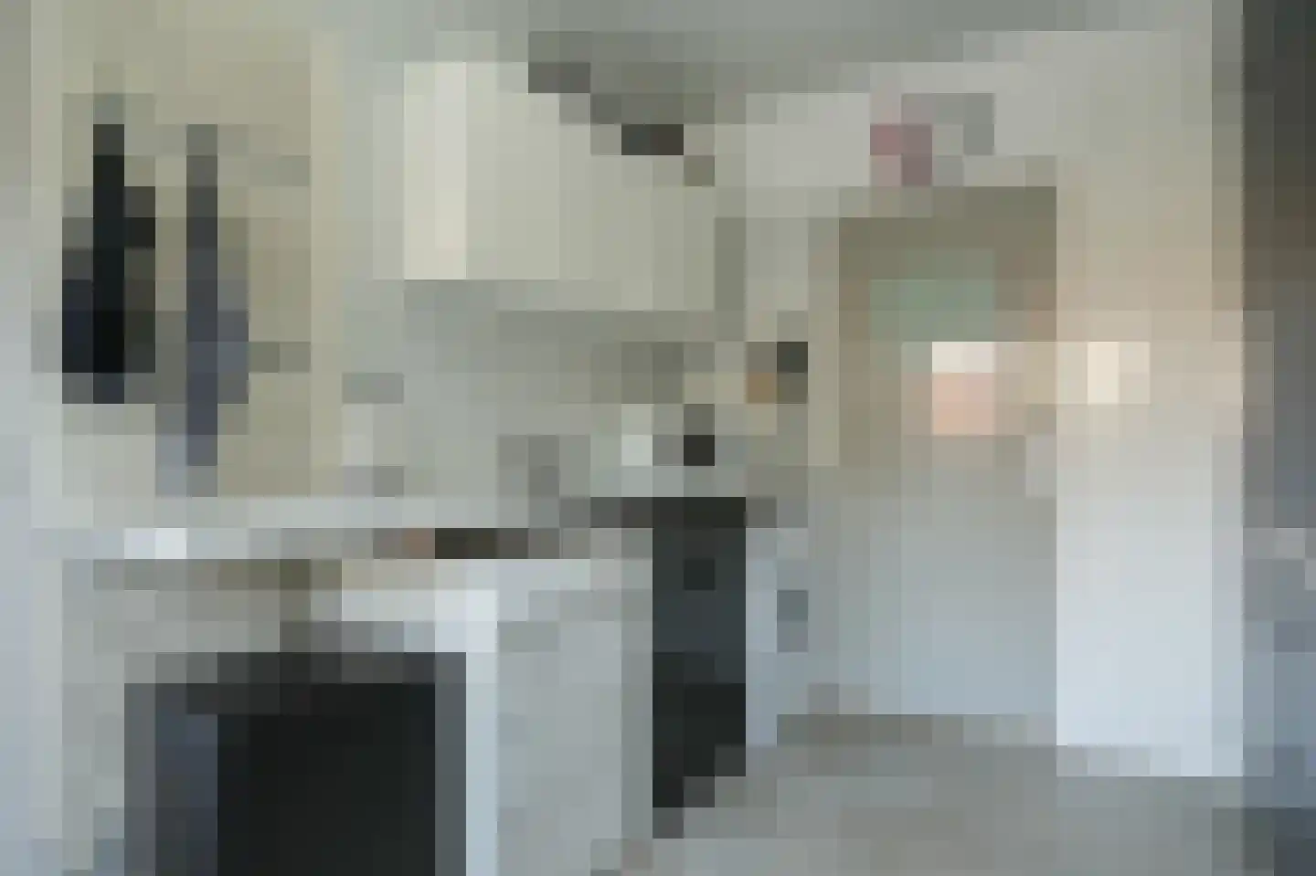 Weth C.E.Th. Vernooijstraat 7 Cothen thumbnail 8