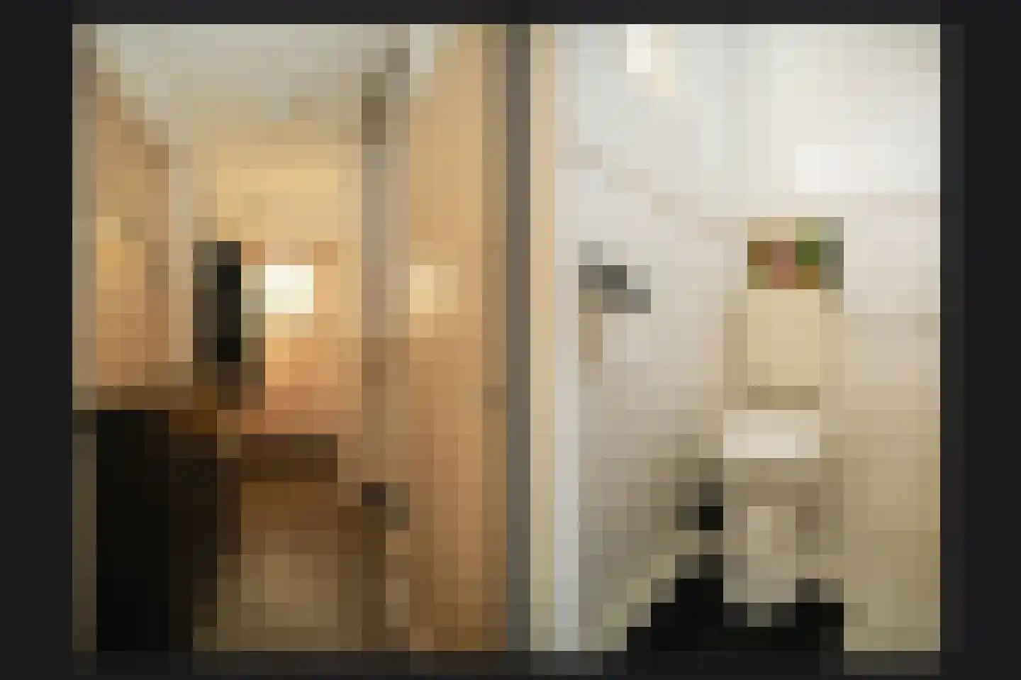 Weth C.E.Th. Vernooijstraat 7 Cothen thumbnail 9