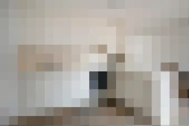 Weth Donkerstraat 31 Coevorden thumbnail 13