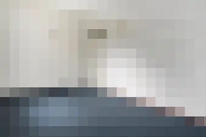 Weth Donkerstraat 31 Coevorden thumbnail 25