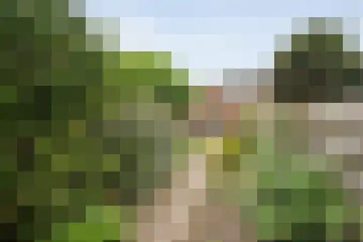 Weth Donkerstraat 31 Coevorden thumbnail 31