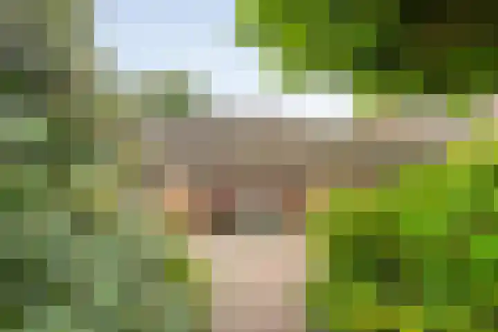 Weth Donkerstraat 31 Coevorden thumbnail 33
