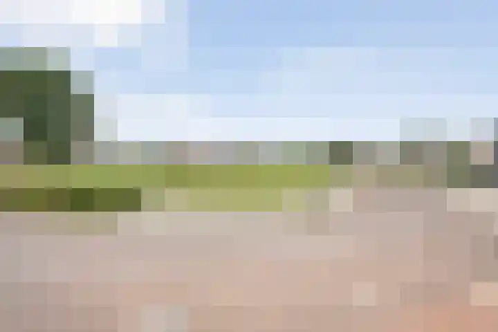 Weth Donkerstraat 31 Coevorden thumbnail 35