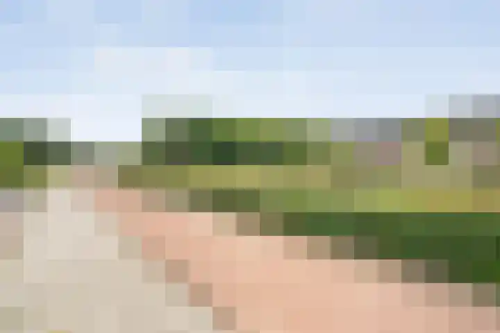 Weth Donkerstraat 31 Coevorden thumbnail 36
