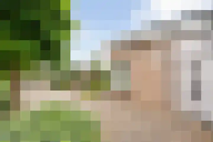 Weth Donkerstraat 31 Coevorden thumbnail 4