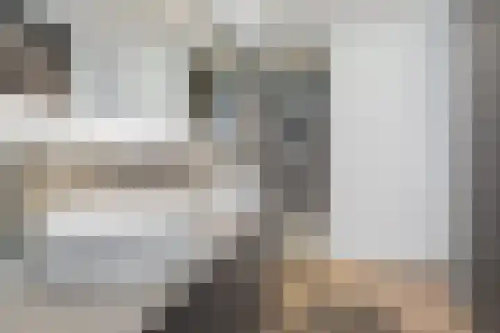 Weth. Feskensstraat 19 Etten-Leur thumbnail 39