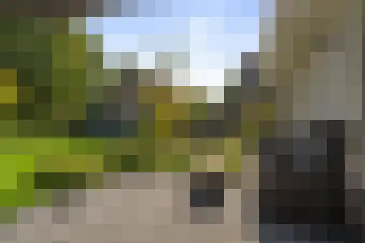 Weth. Feskensstraat 19 Etten-Leur thumbnail 56