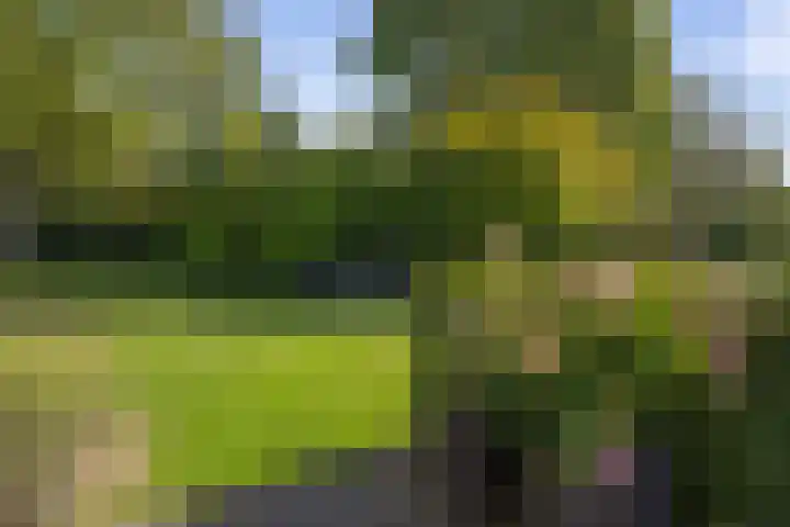 Weth. Feskensstraat 19 Etten-Leur thumbnail 66