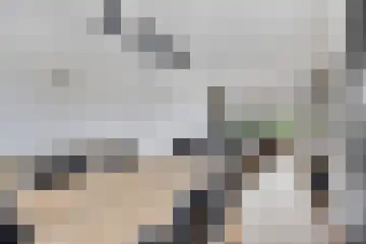 Weth. Feskensstraat 3 Etten-Leur thumbnail 14