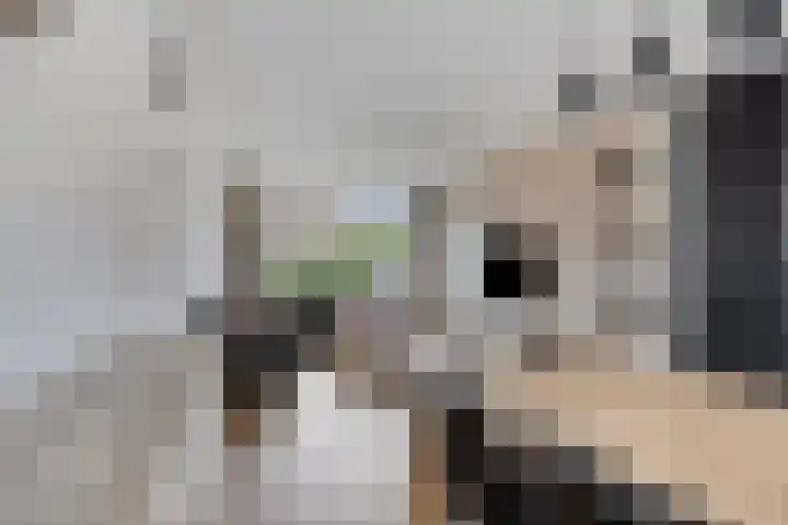 Weth. Feskensstraat 3 Etten-Leur thumbnail 15