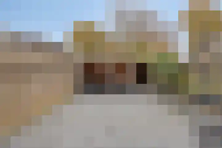 Weth. Feskensstraat 3 Etten-Leur thumbnail 24