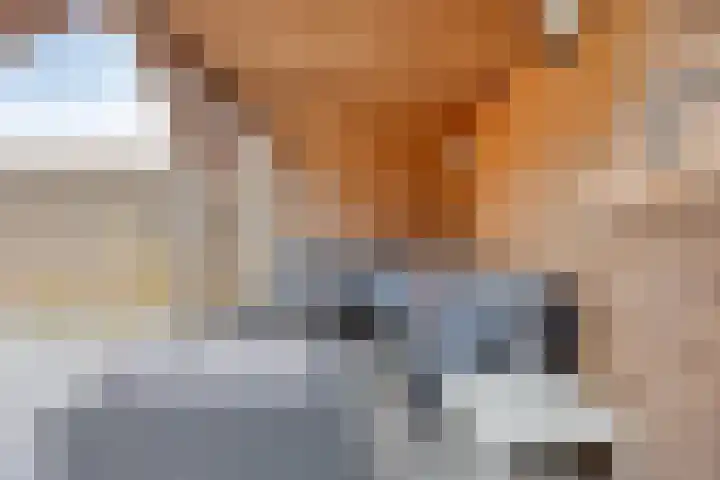 Weth. Feskensstraat 3 Etten-Leur thumbnail 26