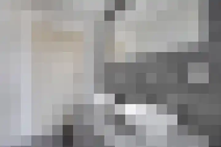 Weth. Feskensstraat 3 Etten-Leur thumbnail 34