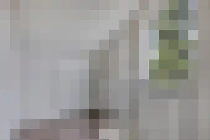 Weth. Feskensstraat 3 Etten-Leur thumbnail 39