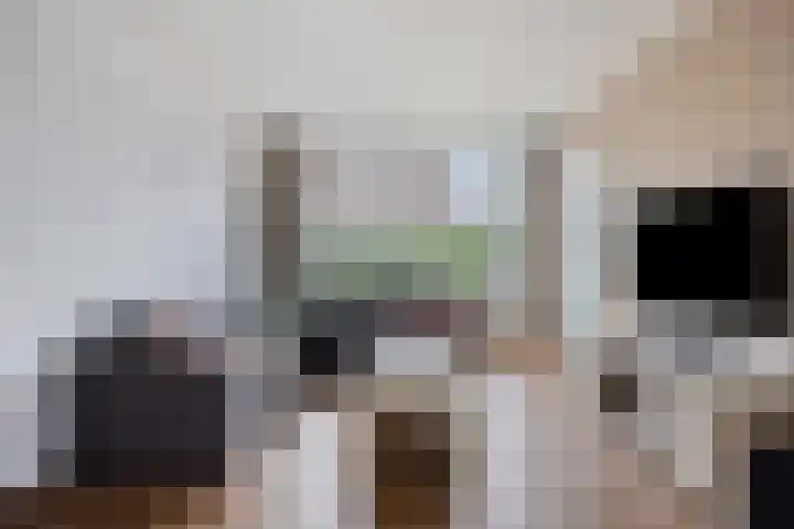 Weth. Feskensstraat 3 Etten-Leur thumbnail 9