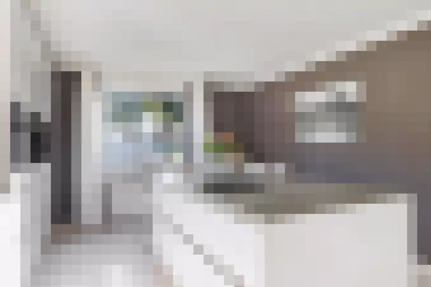 Weth. G.H. Scherpenlaan 25 Weiteveen thumbnail 13