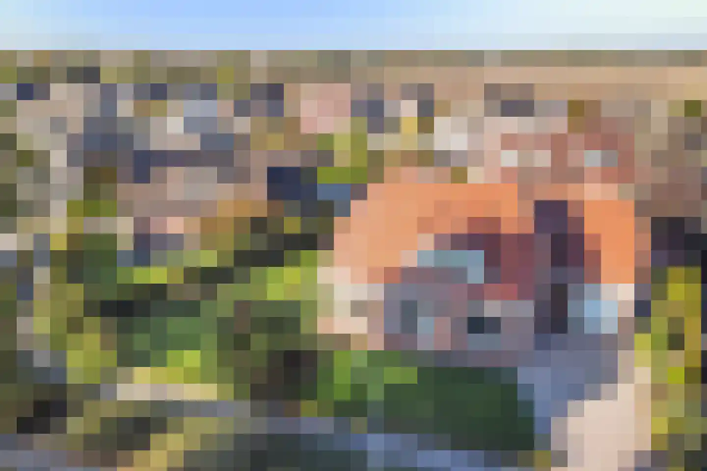 Weth. G.H. Scherpenlaan 25 Weiteveen thumbnail 31