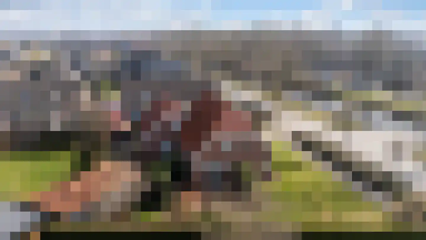 Weth. G.H. Scherpenlaan 25 Weiteveen thumbnail 32