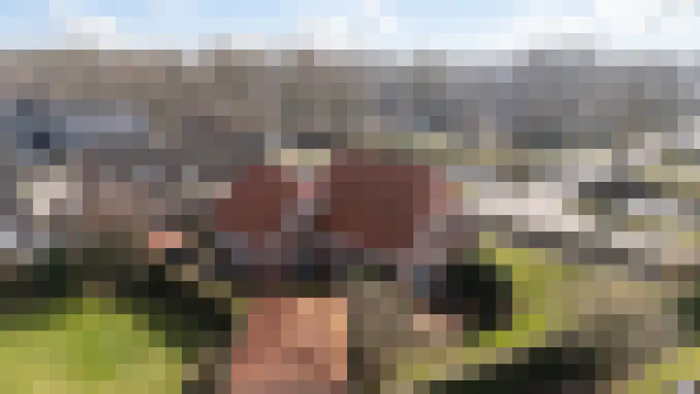 Weth. G.H. Scherpenlaan 25 Weiteveen thumbnail 33