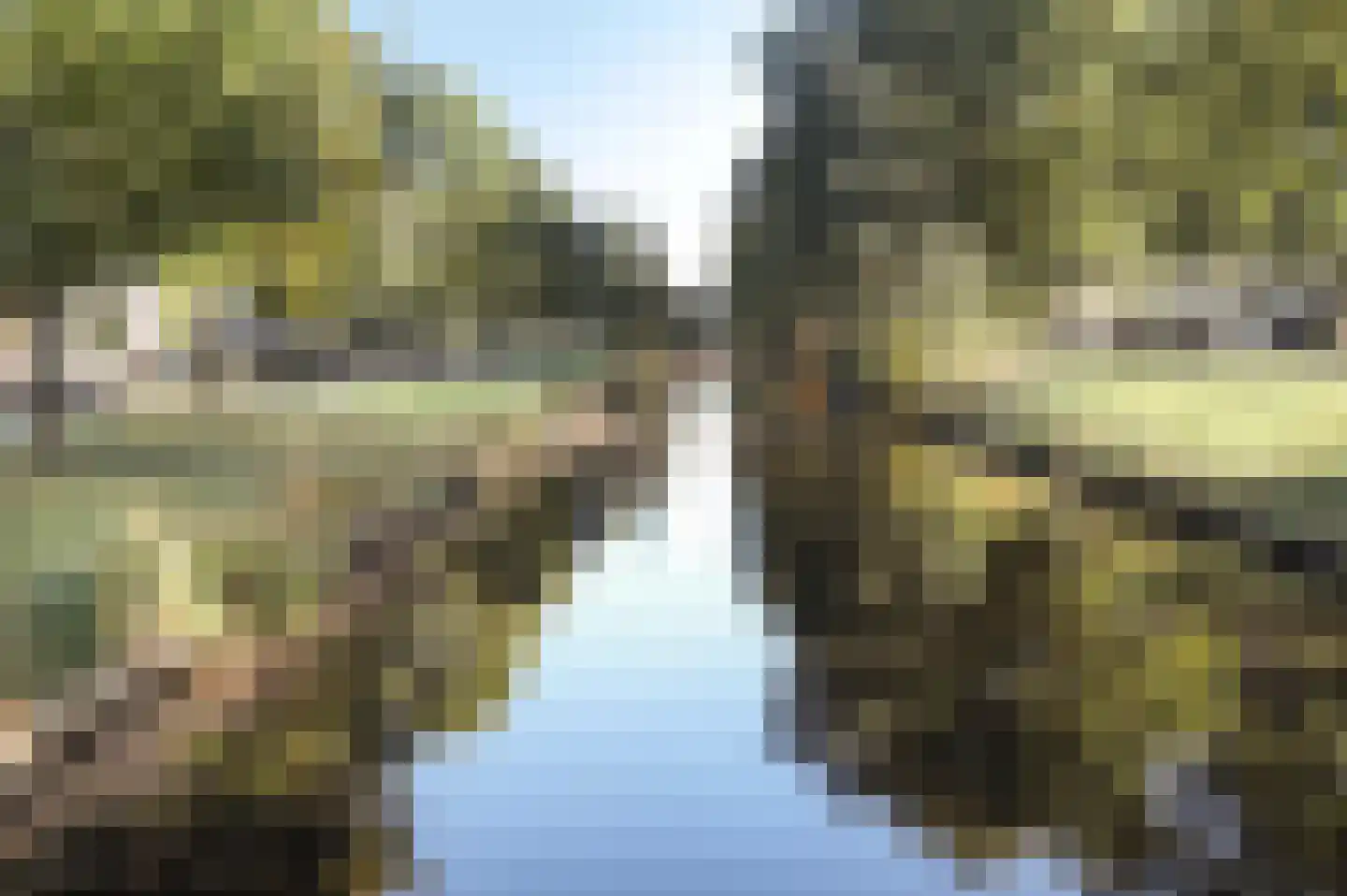 Weth. G.H. Scherpenlaan 25 Weiteveen thumbnail 45
