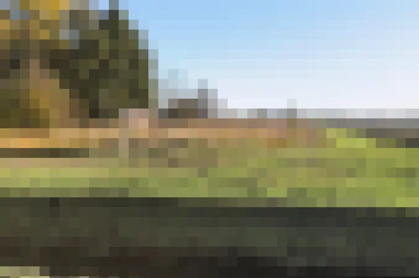 Weth. G.H. Scherpenlaan 25 Weiteveen thumbnail 52