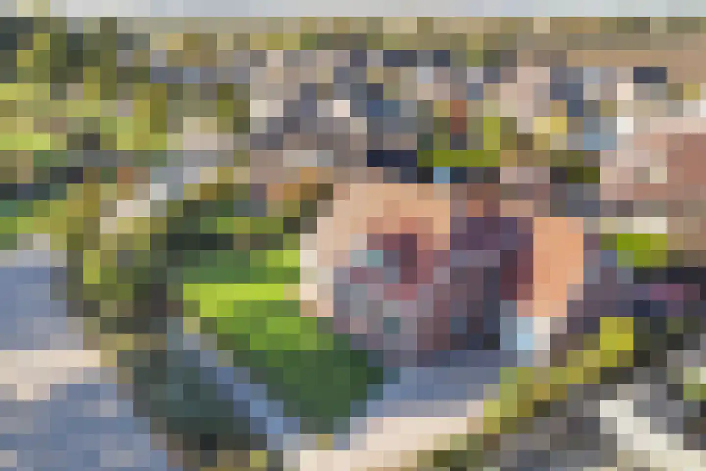 Weth. G.H. Scherpenlaan 25 Weiteveen thumbnail 53