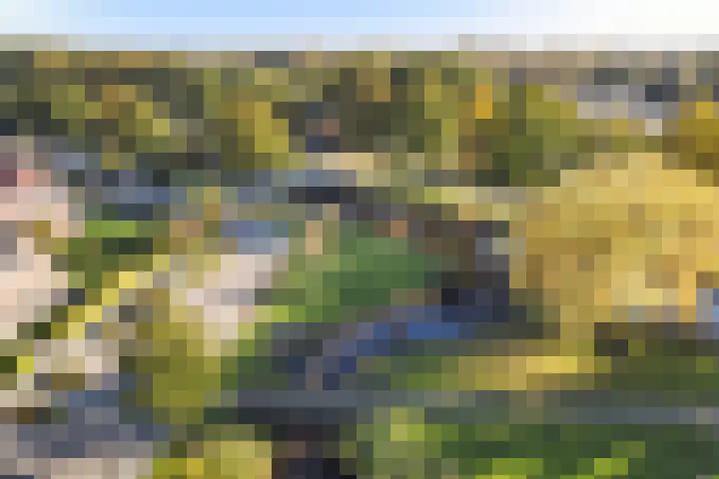 Weth. G.H. Scherpenlaan 25 Weiteveen thumbnail 54
