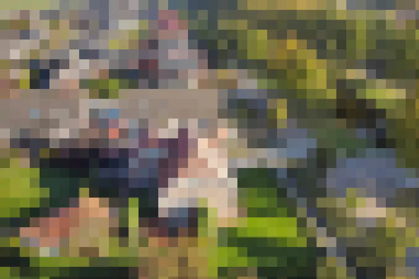Weth. G.H. Scherpenlaan 25 Weiteveen thumbnail 55