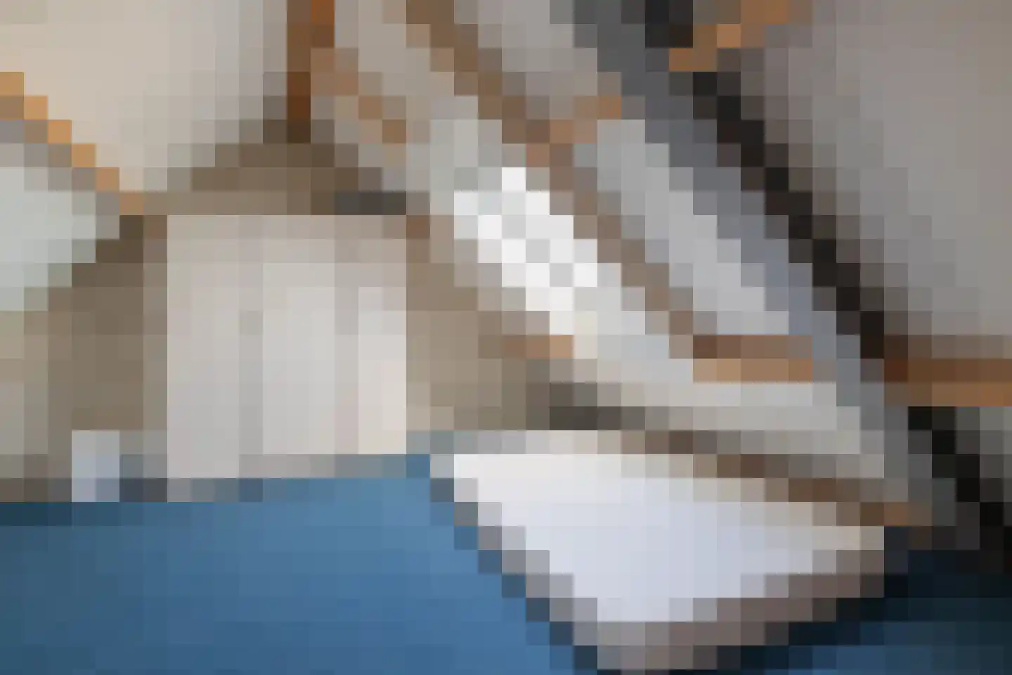 Weth. G.H. Scherpenlaan 31 Weiteveen thumbnail 28