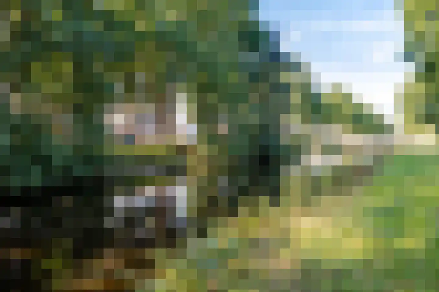 Weth. G.H. Scherpenlaan 31 Weiteveen thumbnail 38