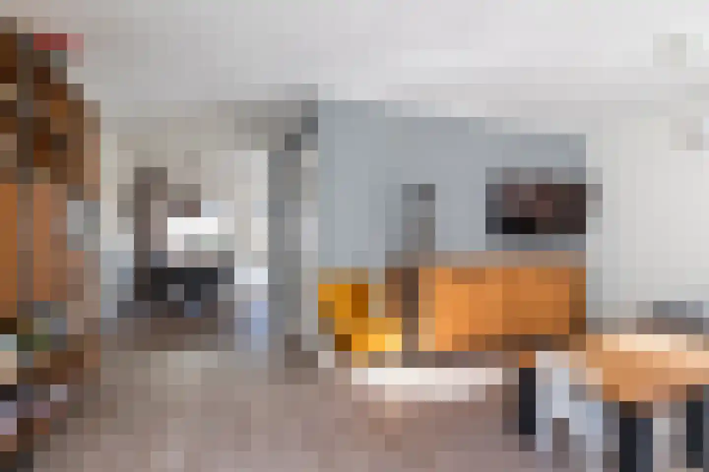 Weth. G.H. Scherpenlaan 31 Weiteveen thumbnail 9