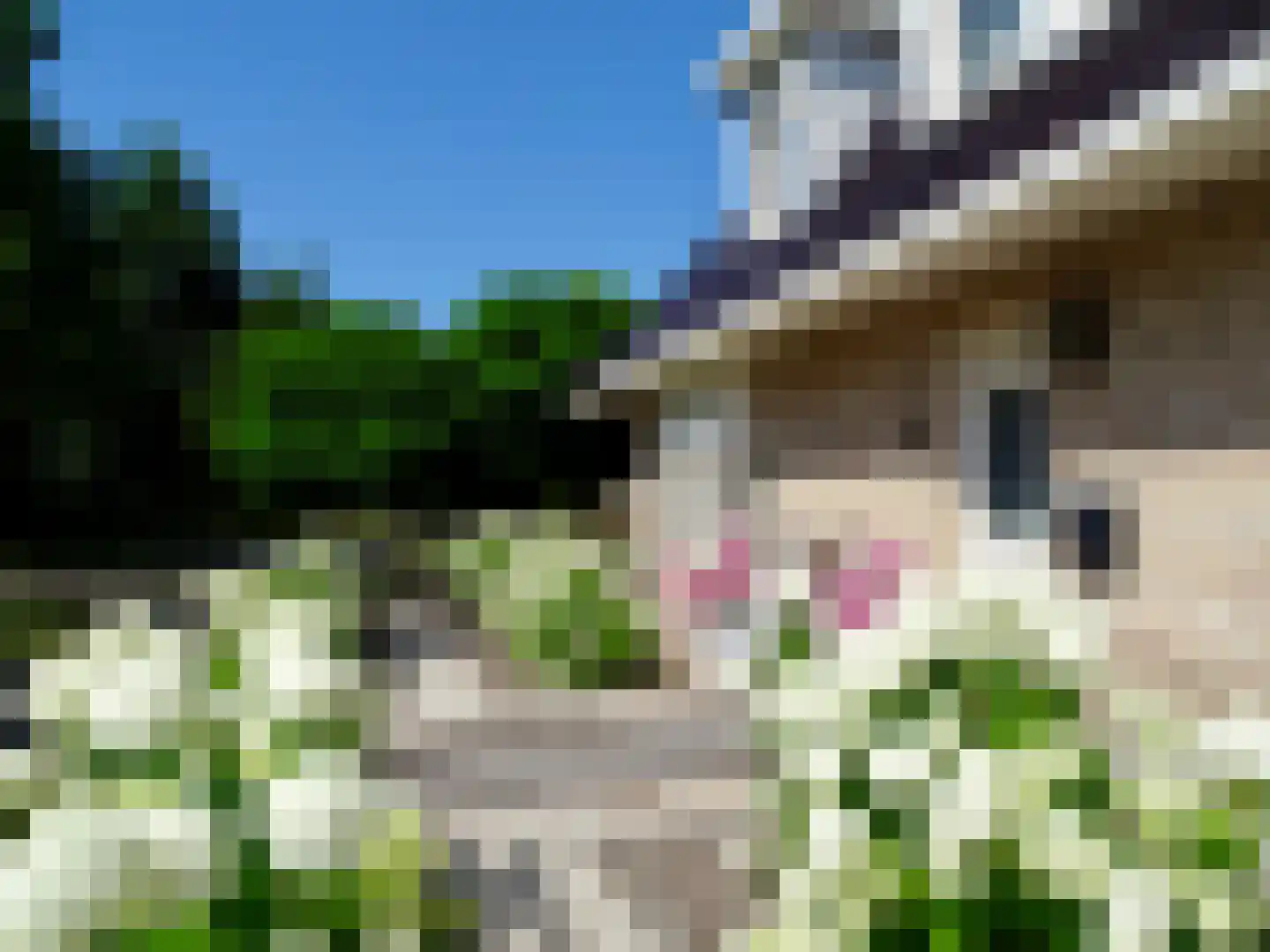 Weth. G.H. Scherpenlaan 41 Weiteveen thumbnail 57