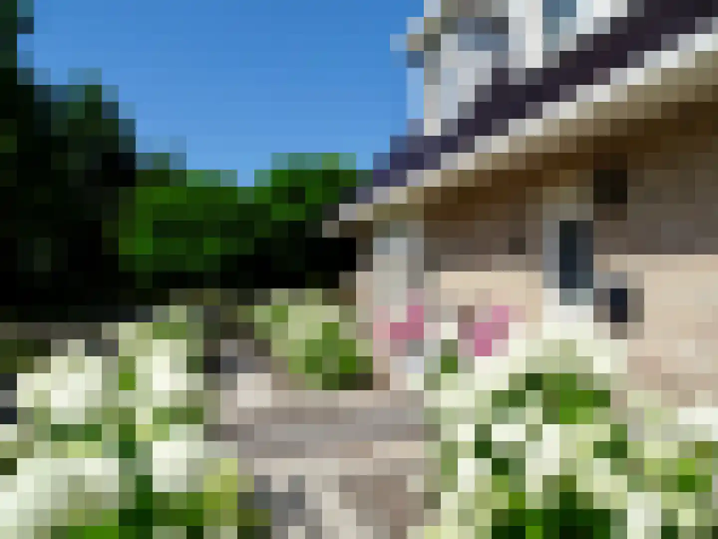 Weth. G.H. Scherpenlaan 41 Weiteveen thumbnail 58